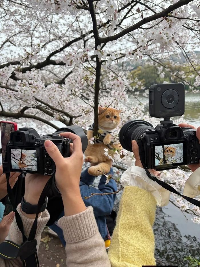 애니멀플래닛