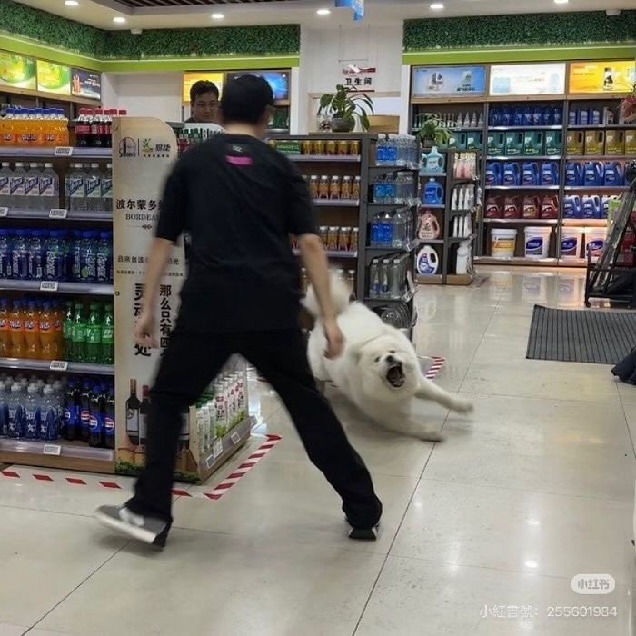 애니멀플래닛