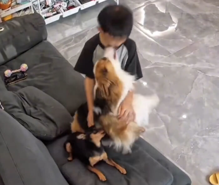 애니멀플래닛