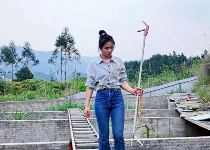 애니멀플래닛