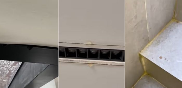 애니멀플래닛