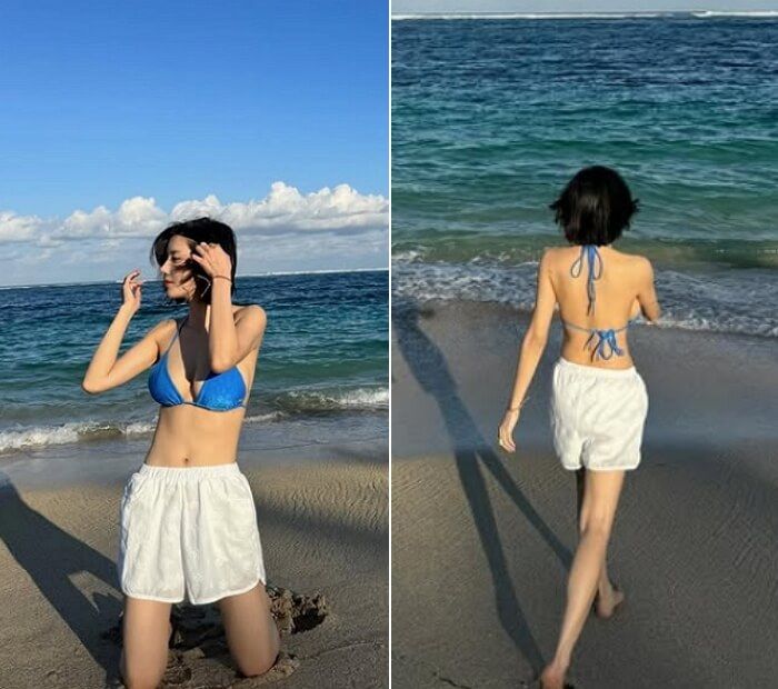 애니멀플래닛