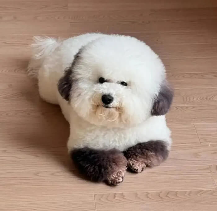 애니멀플래닛