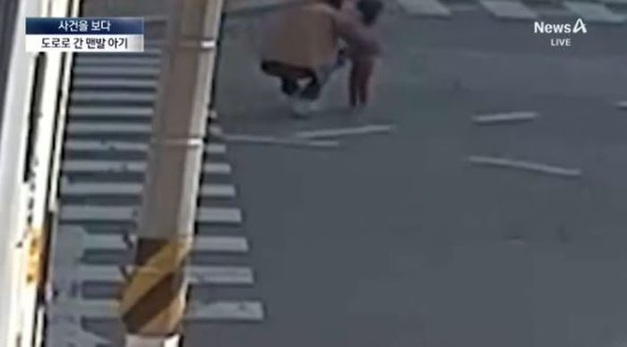 애니멀플래닛