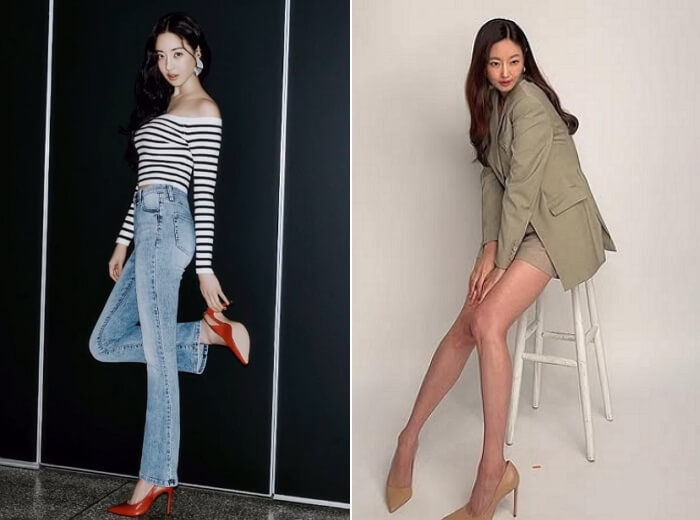 애니멀플래닛