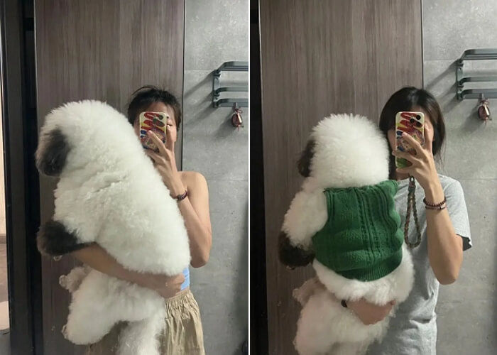 애니멀플래닛