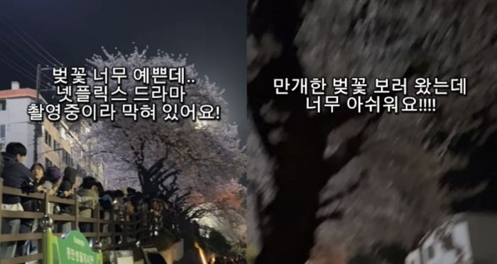 애니멀플래닛