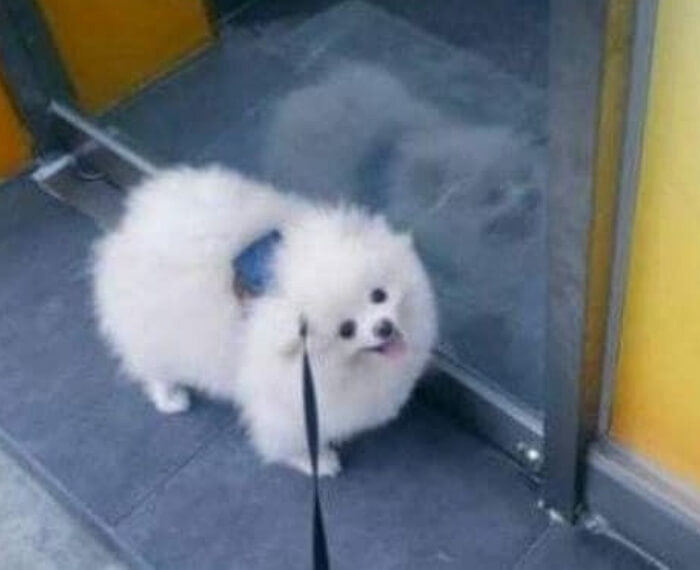 애니멀플래닛