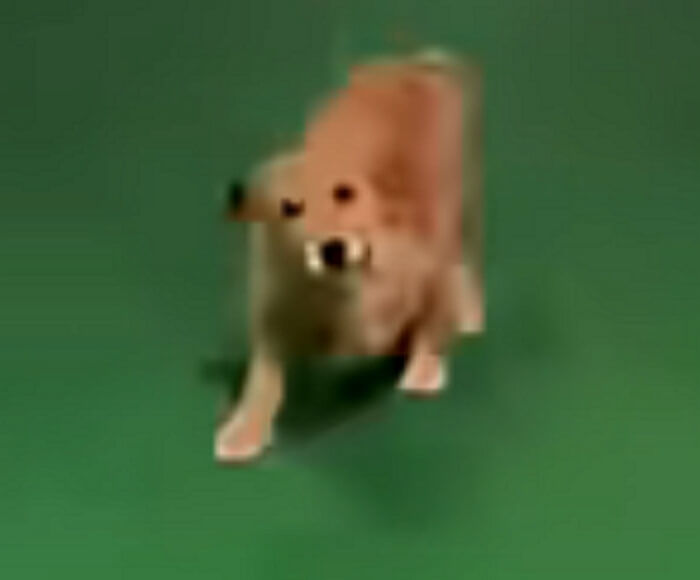 애니멀플래닛