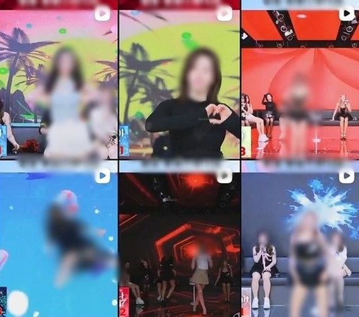 애니멀플래닛