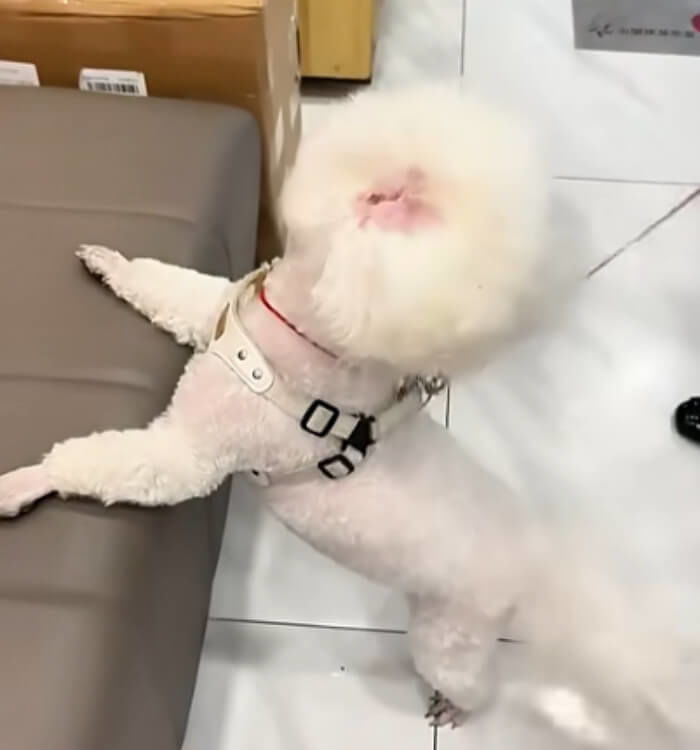애니멀플래닛