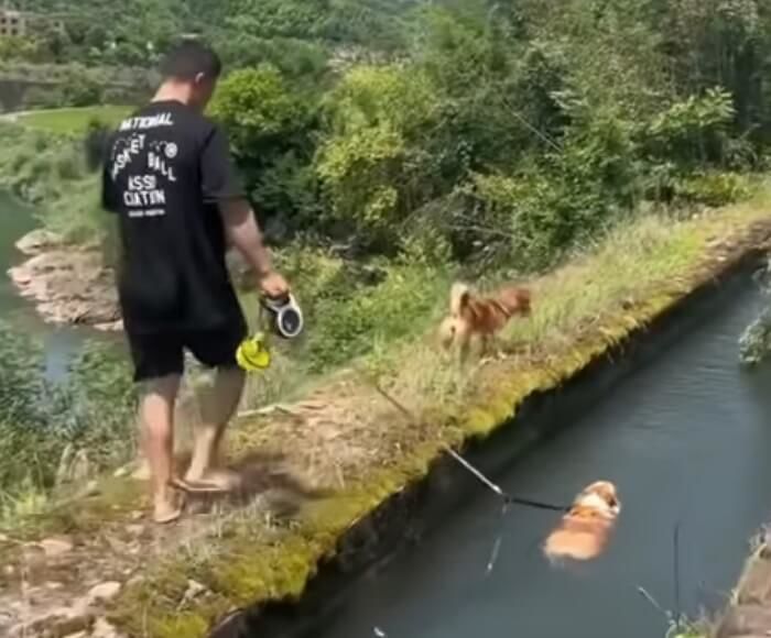 애니멀플래닛