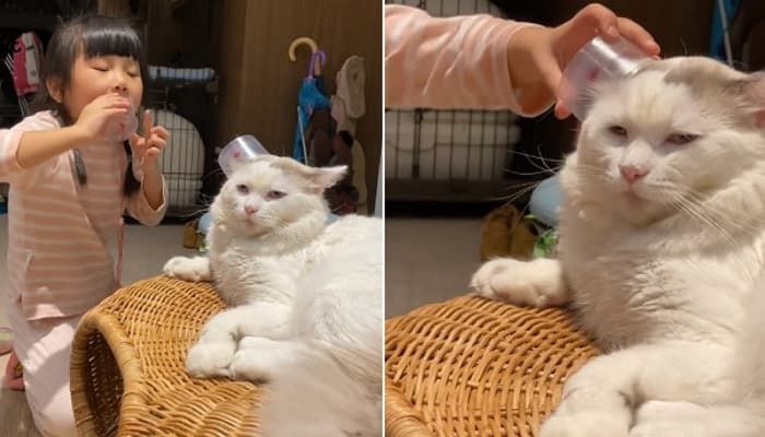 애니멀플래닛