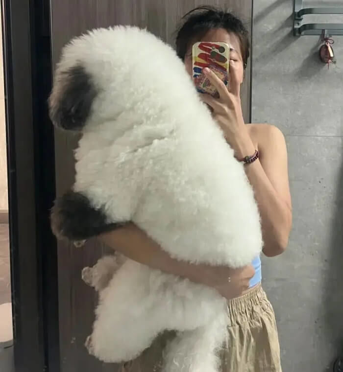 애니멀플래닛