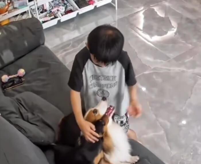 애니멀플래닛