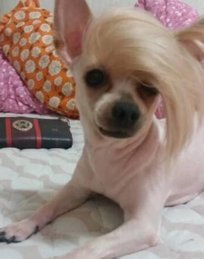 애니멀플래닛