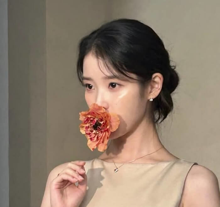 애니멀플래닛