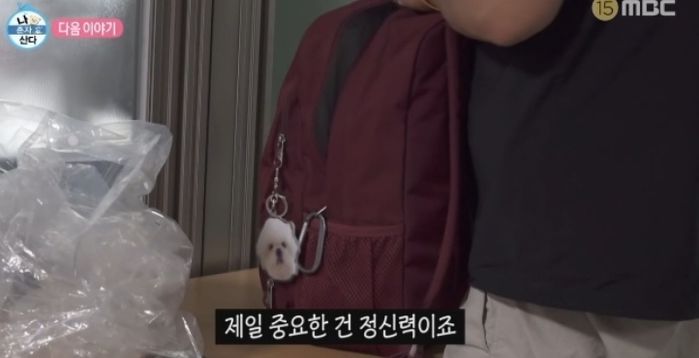 애니멀플래닛