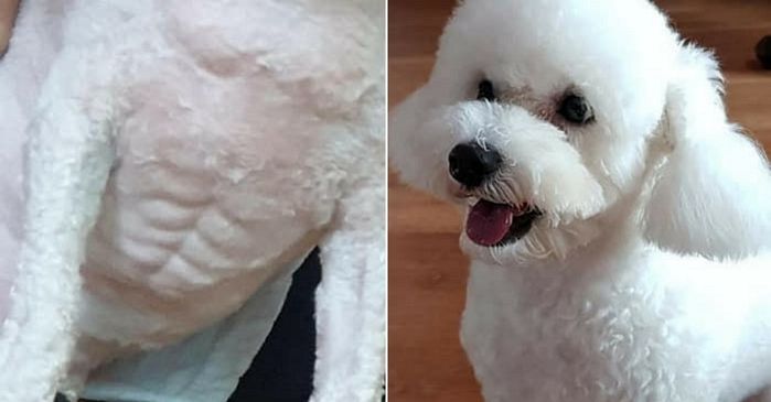 애니멀플래닛