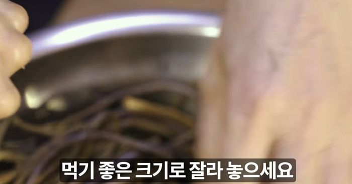 애니멀플래닛