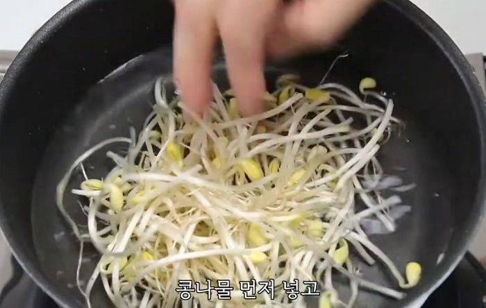 애니멀플래닛