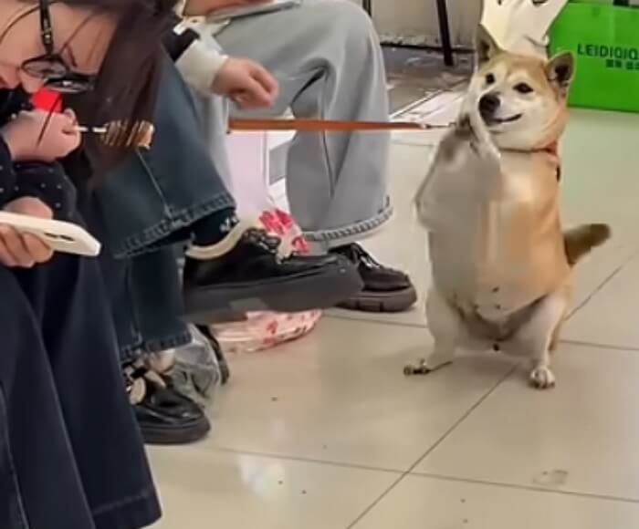 애니멀플래닛
