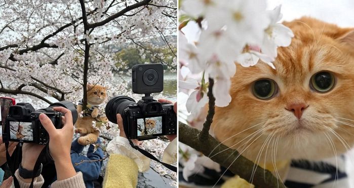애니멀플래닛