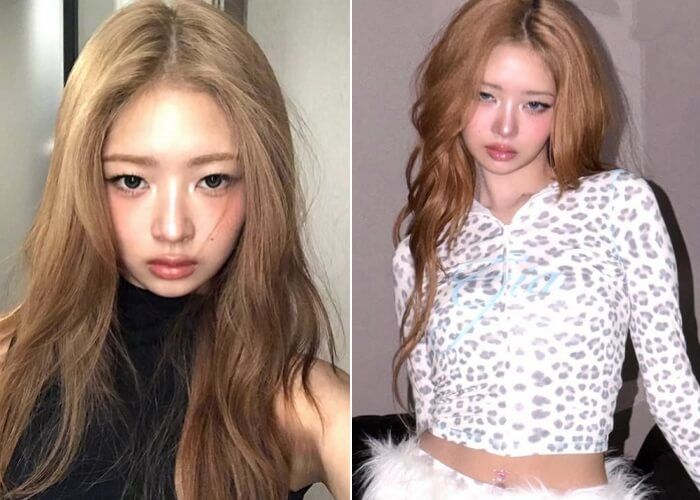 애니멀플래닛
