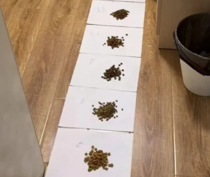 애니멀플래닛