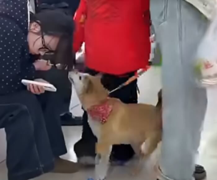 애니멀플래닛
