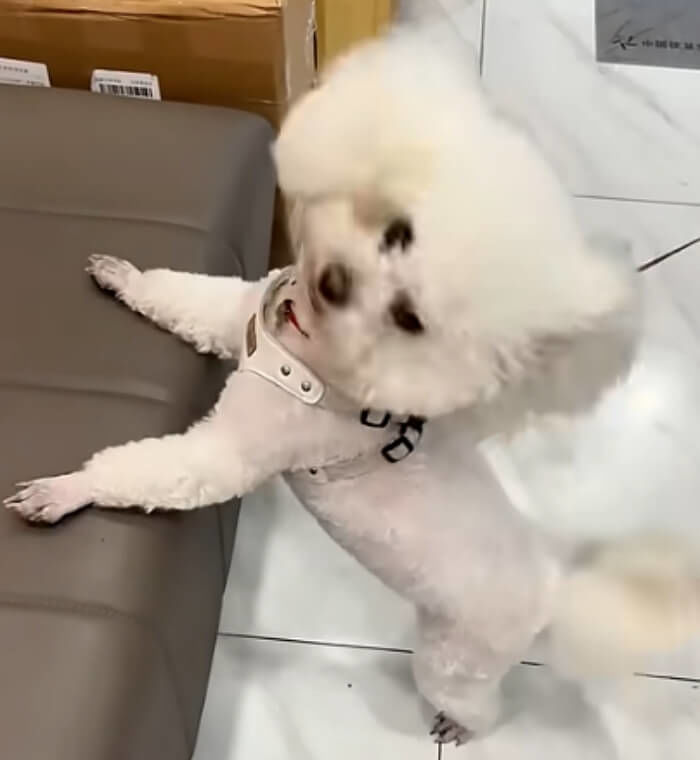 애니멀플래닛