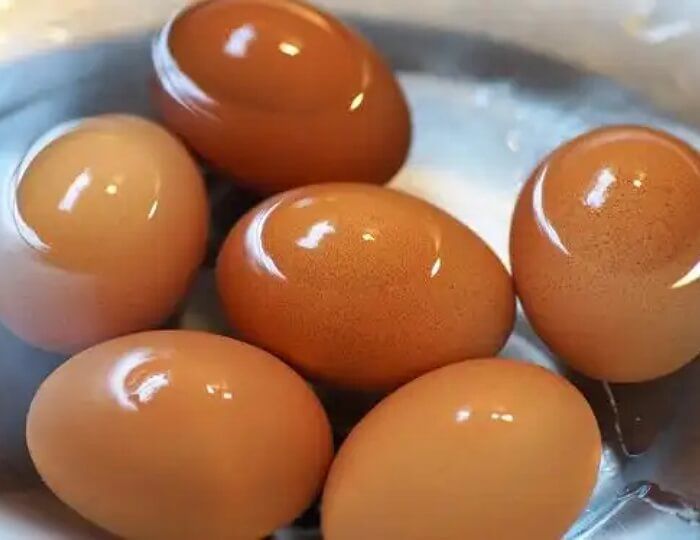 애니멀플래닛