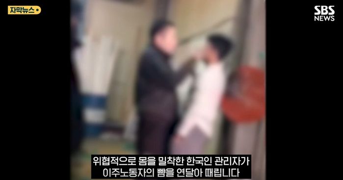 애니멀플래닛