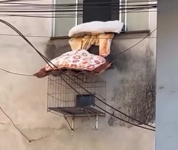 애니멀플래닛
