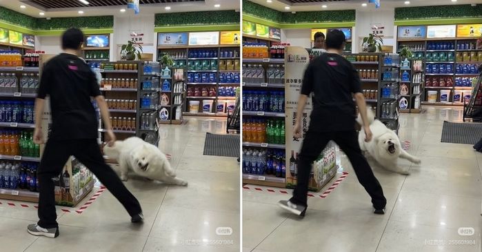 애니멀플래닛