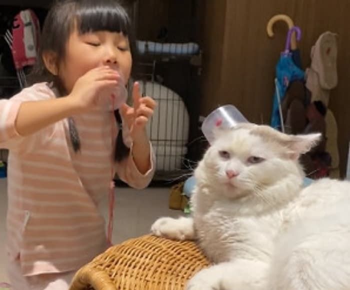애니멀플래닛