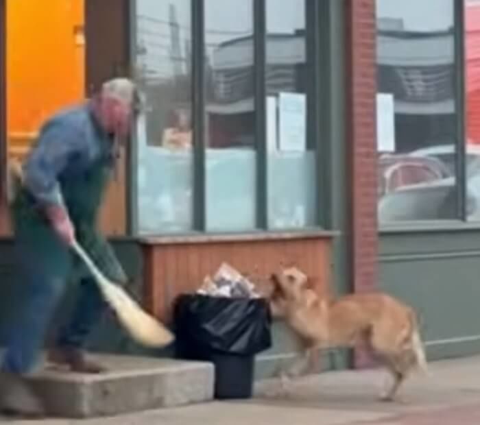 애니멀플래닛