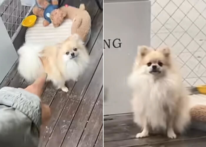 애니멀플래닛