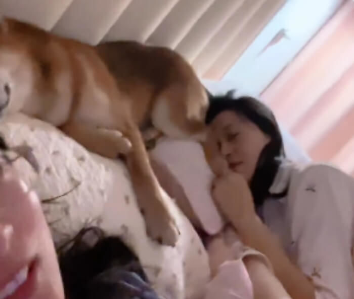 애니멀플래닛