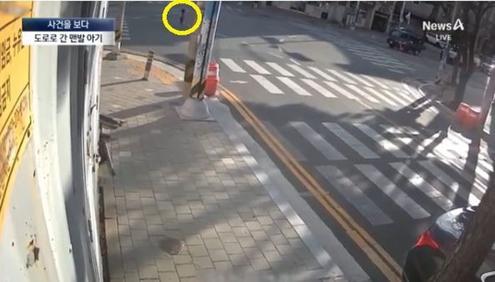 애니멀플래닛