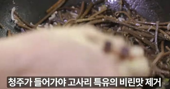 애니멀플래닛