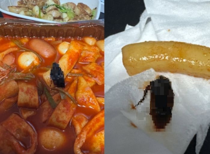 애니멀플래닛