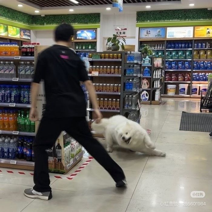 애니멀플래닛