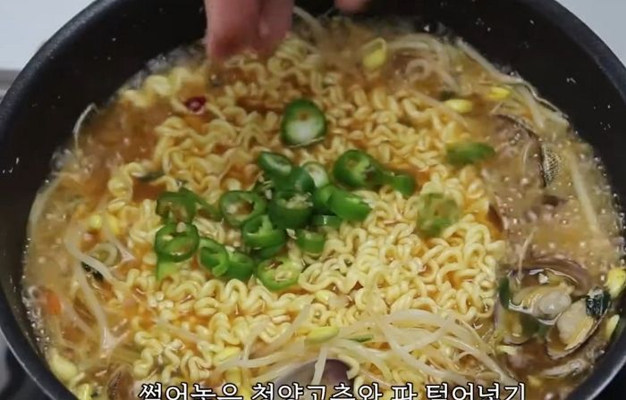 애니멀플래닛
