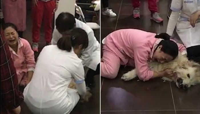 애니멀플래닛