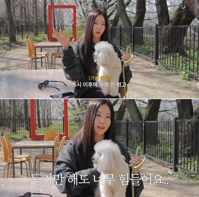 애니멀플래닛