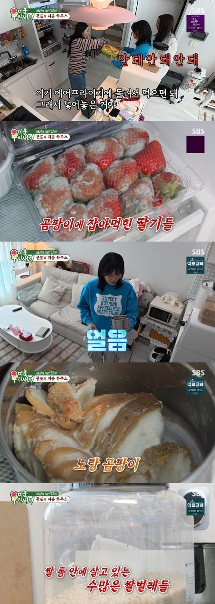 애니멀플래닛
