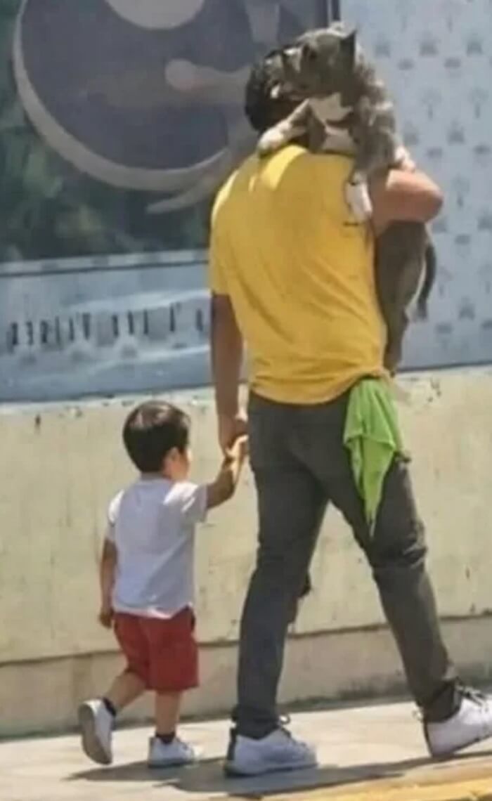 애니멀플래닛