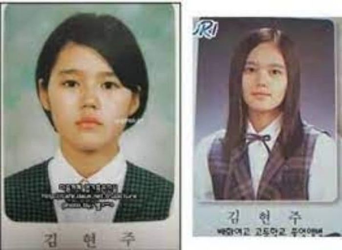 애니멀플래닛