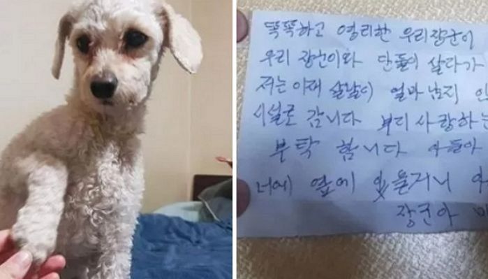 애니멀플래닛